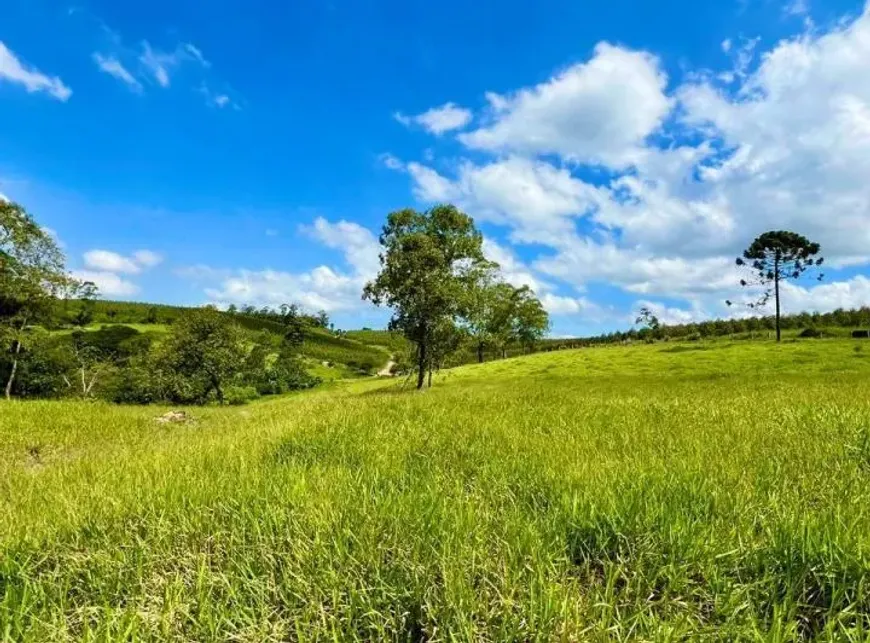 Foto 1 de Lote/Terreno à venda, 500m² em Centro, Santa Isabel