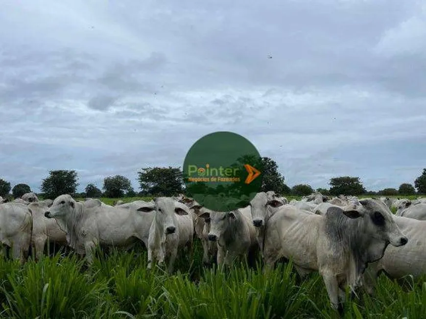 Foto 1 de Fazenda/Sítio à venda, 15300m² em Zona Rural, Araguaiana