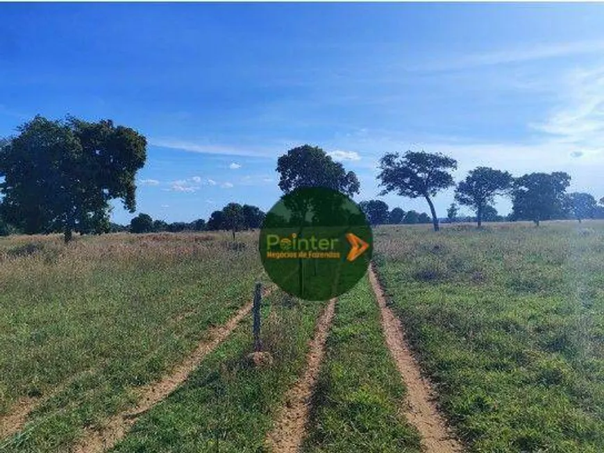 Foto 1 de Fazenda/Sítio com 3 Quartos à venda, 11616000m² em Zona Rural, Jussara