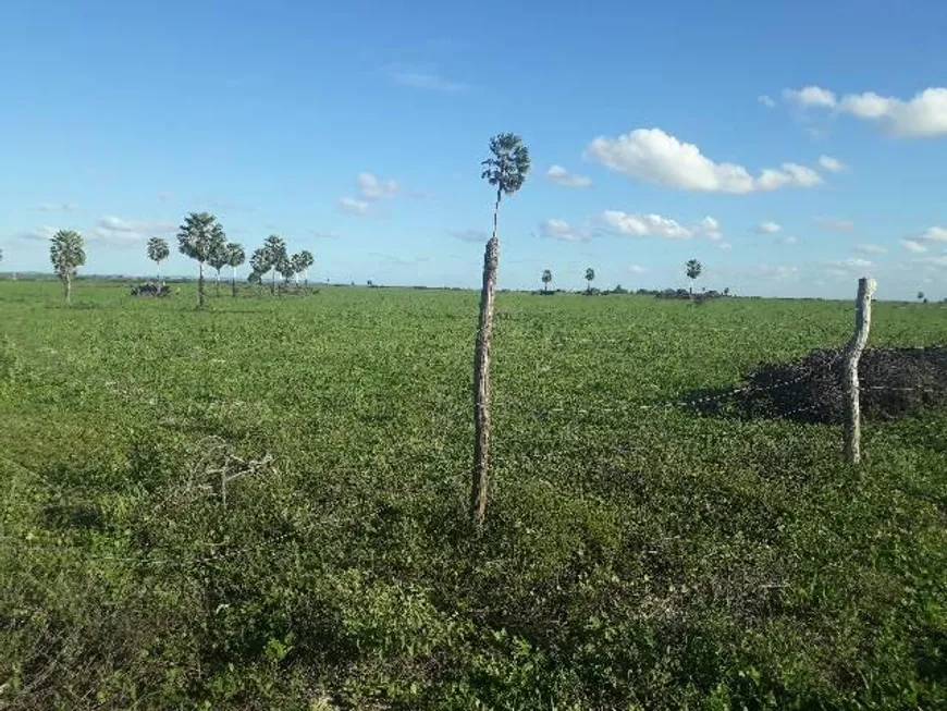 Foto 1 de Fazenda/Sítio com 3 Quartos à venda, 190000m² em Centro, Lagoa de Pedras