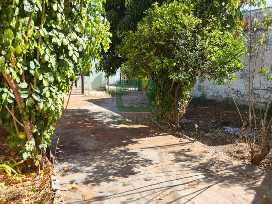 Foto 1 de Lote/Terreno com 1 Quarto à venda, 416m² em Tibery, Uberlândia