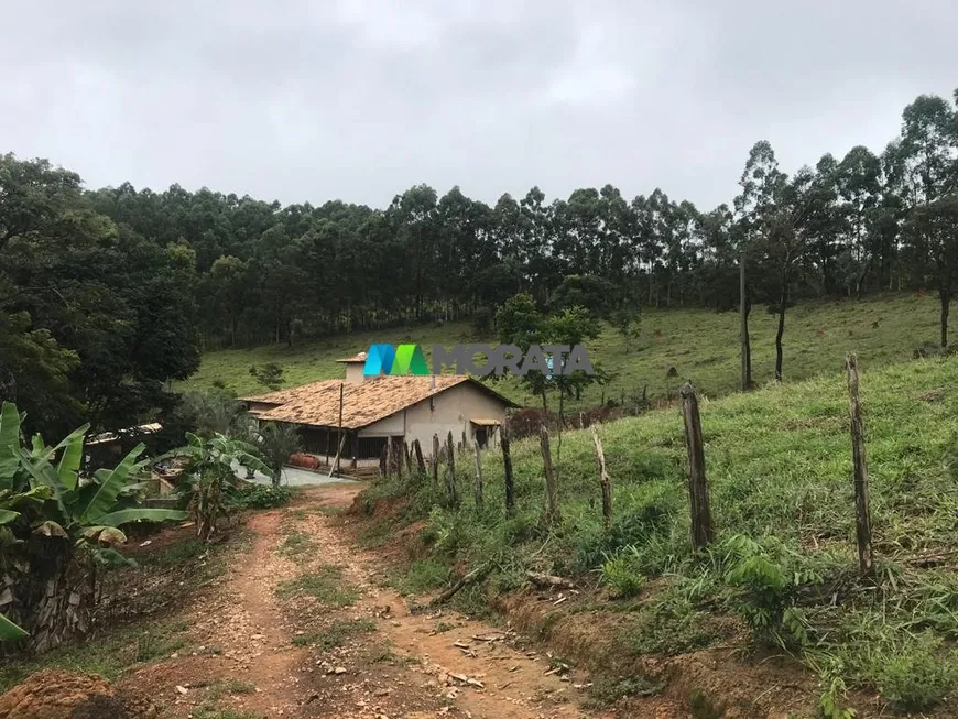 Foto 1 de Fazenda/Sítio com 1 Quarto à venda, 36m² em Zona Rural, Caeté