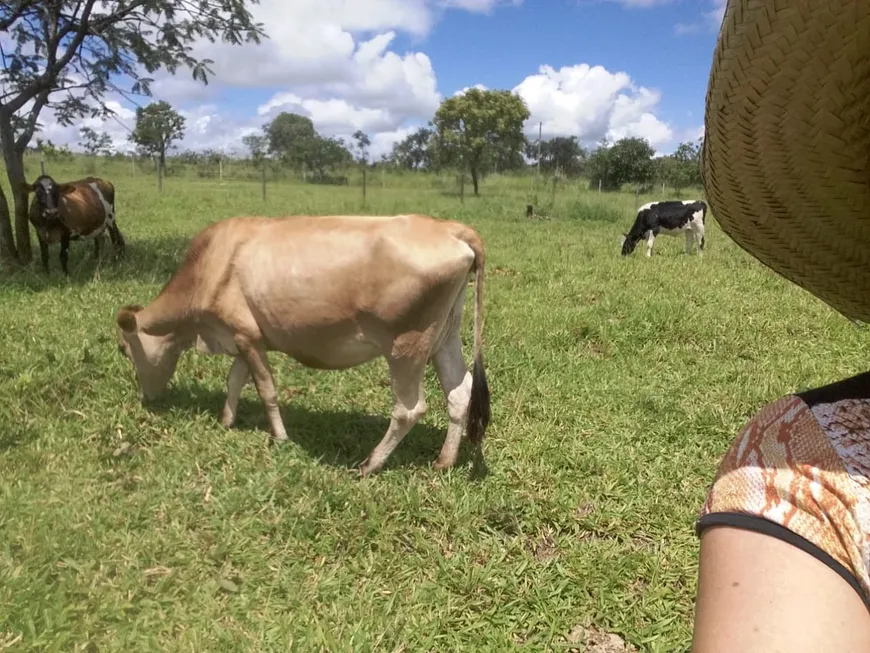 Foto 1 de Fazenda/Sítio com 3 Quartos à venda, 20000m² em Zona Rural, Bela Vista de Goiás