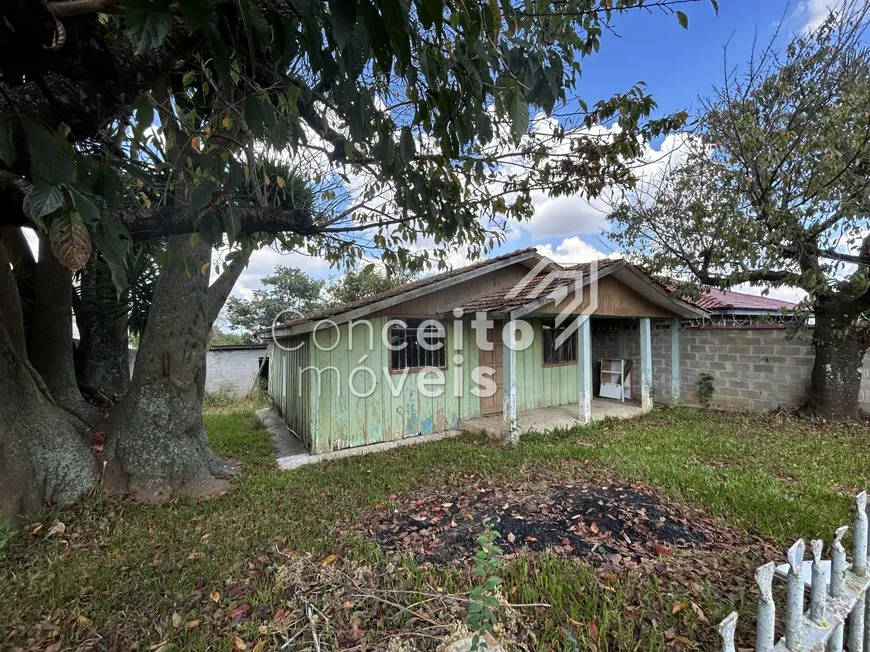 Foto 1 de Lote/Terreno à venda, 480m² em Boa Vista, Ponta Grossa