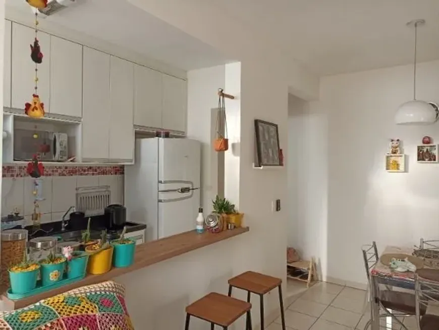 Foto 1 de Apartamento com 2 Quartos à venda, 47m² em Residencial Ana Celia, São José do Rio Preto
