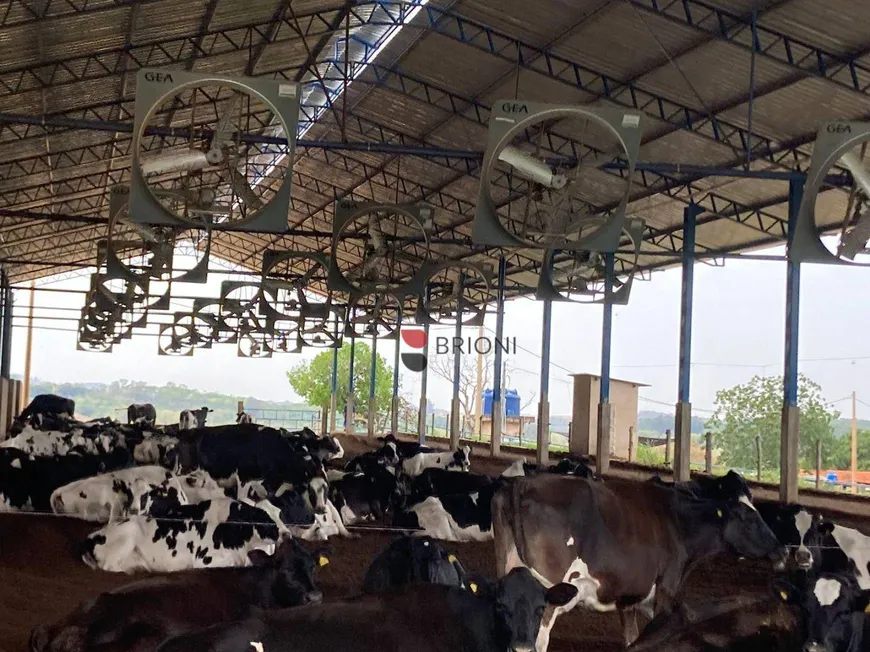 Foto 1 de Fazenda/Sítio com 2 Quartos à venda, 3160m² em Zona Rural, Cajuru