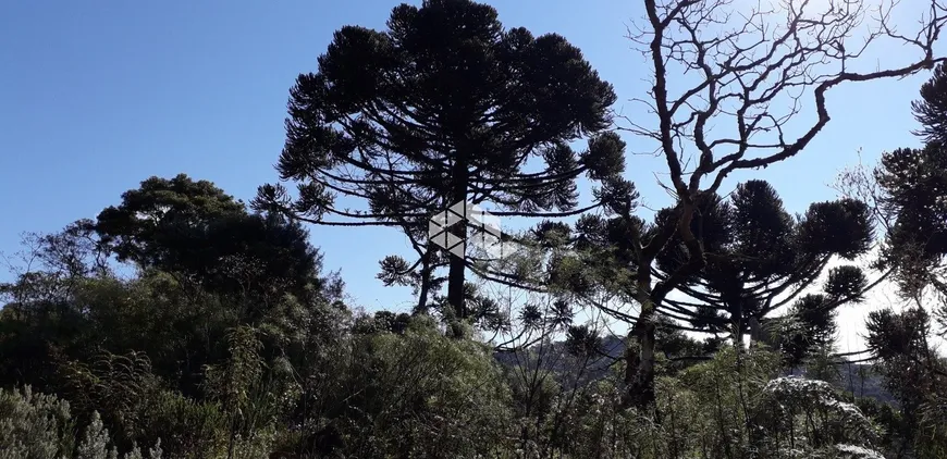 Foto 1 de Lote/Terreno à venda, 20000m² em Centro, Rio Rufino