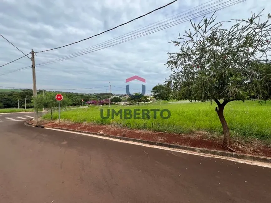 Foto 1 de Lote/Terreno à venda, 580m² em Residencial Ville de France, Ourinhos