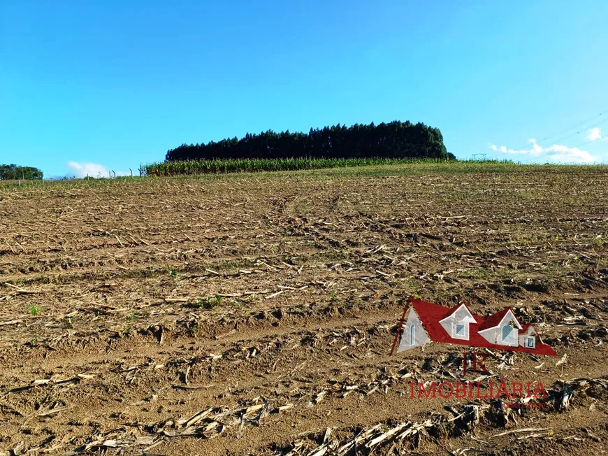 Foto 1 de Fazenda/Sítio com 1 Quarto à venda, 2500m² em Zona Rural, São José dos Pinhais