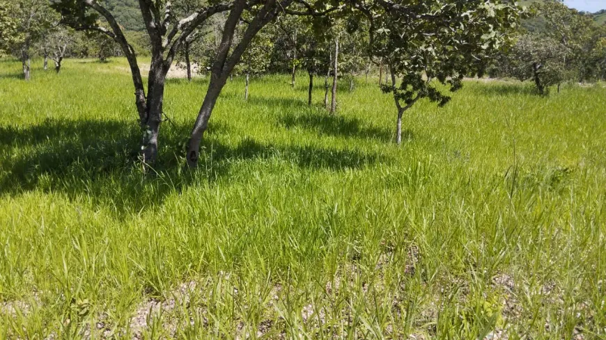 Foto 1 de Fazenda/Sítio à venda, 411400m² em Centro, Goiás