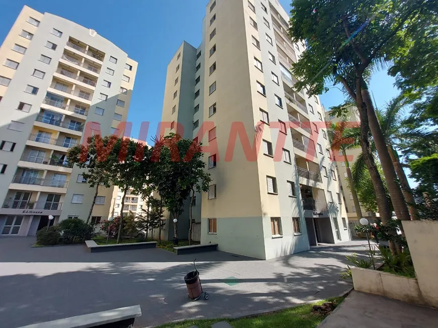 Foto 1 de Apartamento com 3 Quartos à venda, 59m² em Vila Guilherme, São Paulo