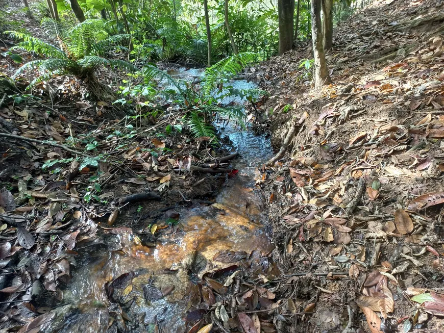 Foto 1 de Lote/Terreno à venda, 260021m² em Pedra Azul de Arace, Domingos Martins