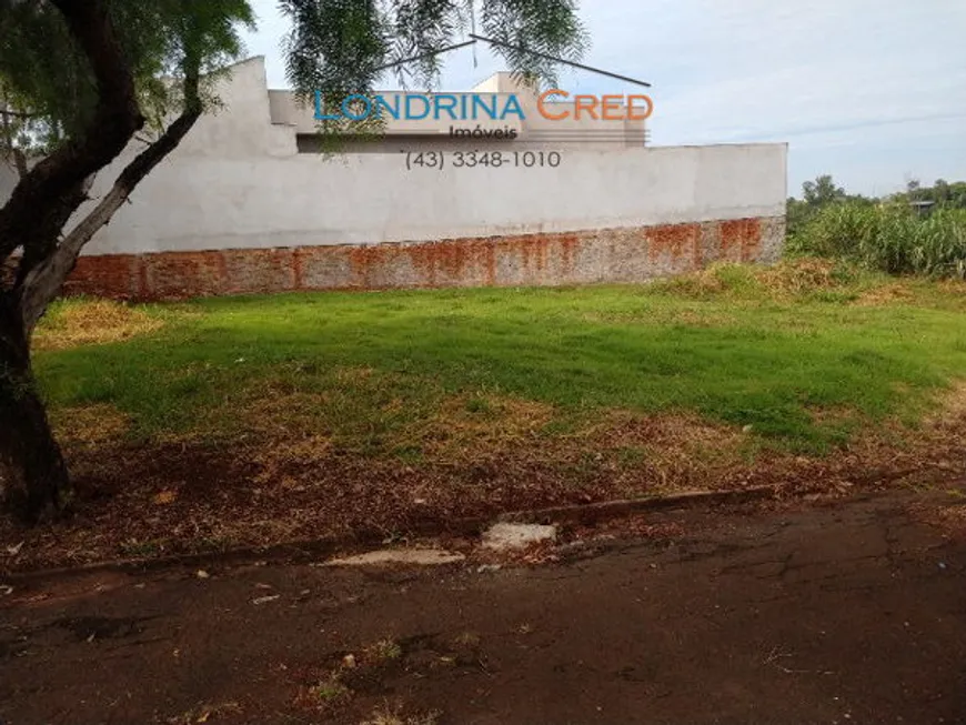 Foto 1 de Lote/Terreno à venda, 367m² em , Ibiporã