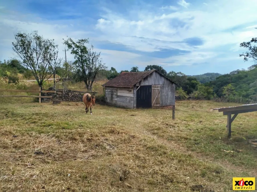 Foto 1 de Fazenda/Sítio à venda, 100m² em Linha Olinda, Nova Petrópolis