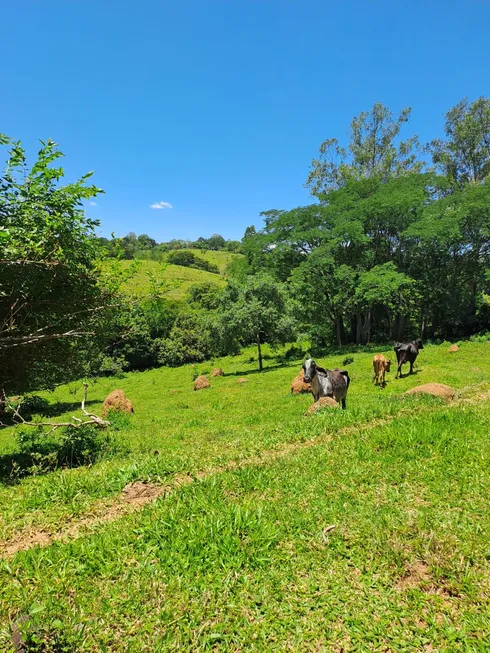 Foto 1 de Fazenda/Sítio à venda, 6000m² em Zona Rural, Carmo de Minas