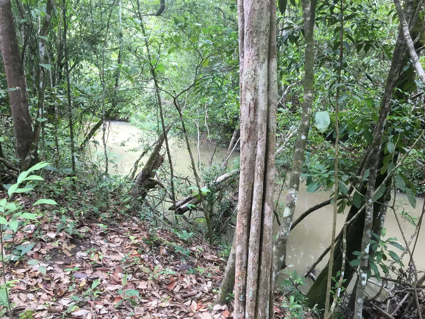 Foto 1 de Lote/Terreno à venda, 20000m² em Zona Rural, Pirenópolis