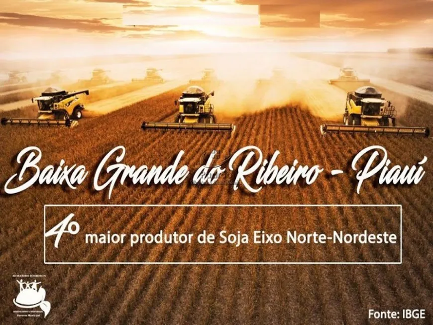 Foto 1 de Lote/Terreno à venda, 57000000m² em Zona Rural, Baixa Grande do Ribeiro