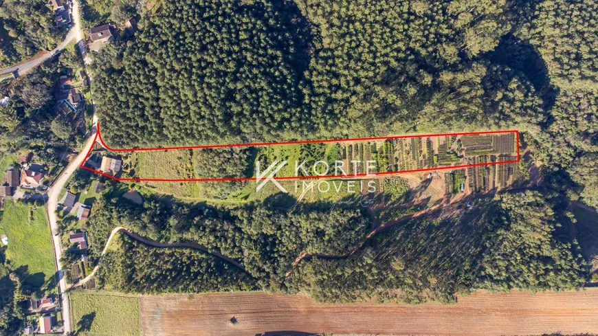 Foto 1 de Lote/Terreno à venda, 12500m² em , Laurentino