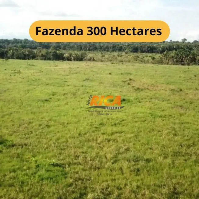 Foto 1 de Fazenda/Sítio à venda, 3000000m² em Zona Rural, Humaitá