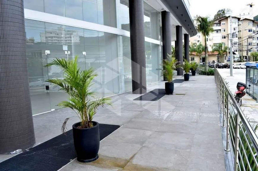 Foto 1 de Sala Comercial para alugar, 79m² em Itacorubi, Florianópolis