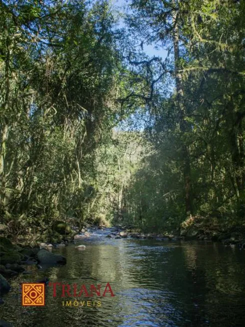 Foto 1 de Lote/Terreno à venda, 600000m² em , Rio Rufino