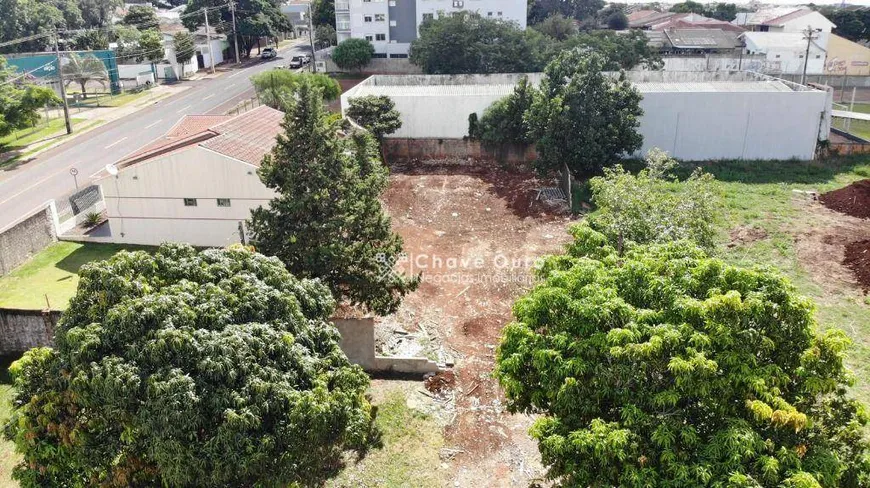 Foto 1 de Lote/Terreno à venda, 420m² em Recanto Tropical, Cascavel