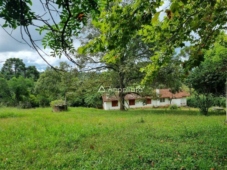 Foto 1 de Fazenda/Sítio à venda, 4319m² em , Campina Grande do Sul