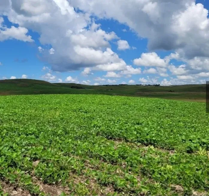 Foto 1 de Fazenda/Sítio à venda, 45000m² em Centro, São Francisco de Paula