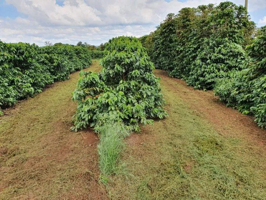 Foto 1 de Fazenda/Sítio à venda, 774400m² em Zona Rural, Ibiraci