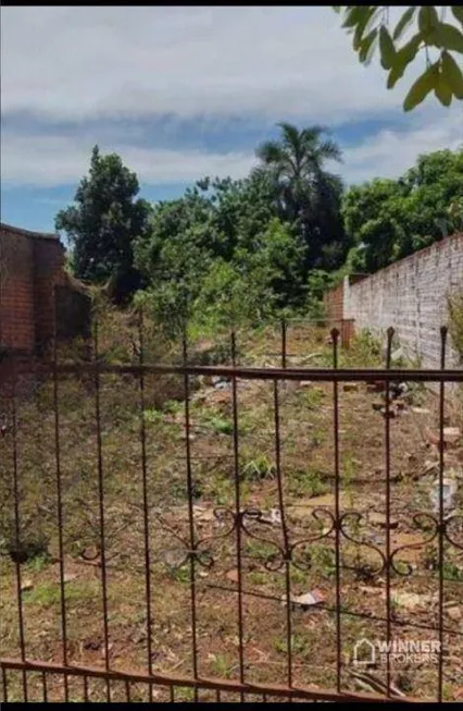 Foto 1 de Lote/Terreno à venda, 500m² em , Paiçandu