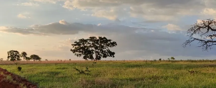 Foto 1 de Fazenda/Sítio à venda, 10000m² em Zona Rural, Hidrolândia