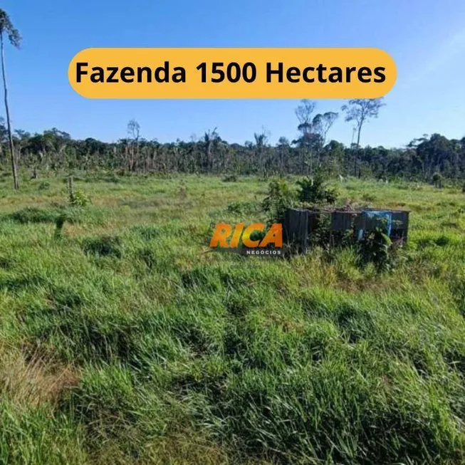 Foto 1 de Fazenda/Sítio à venda, 15000000m² em Centro, Humaitá