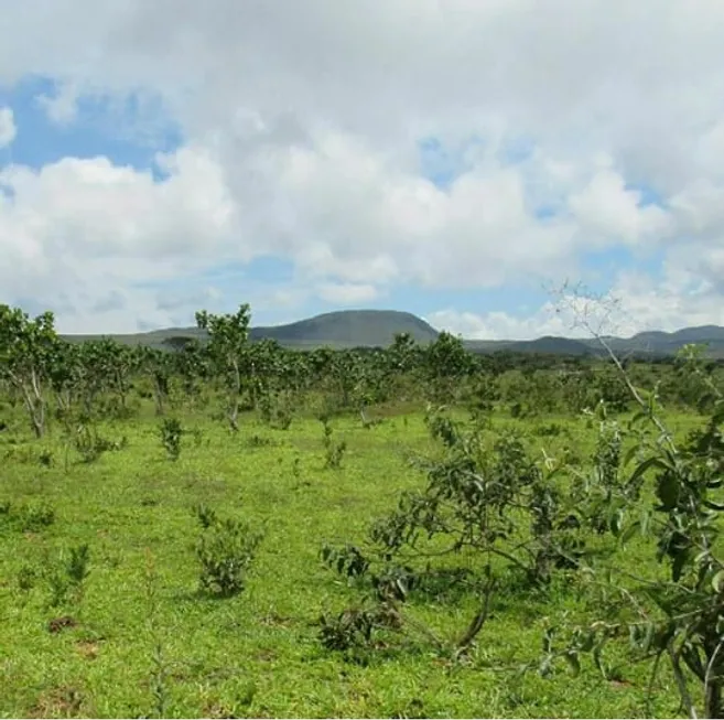 Foto 1 de Lote/Terreno à venda, 42000m² em , Alto Paraíso de Goiás