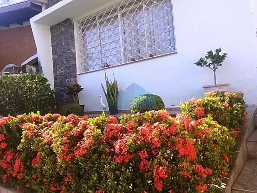 Foto 1 de Casa com 5 Quartos à venda, 220m² em Cambuí, Campinas