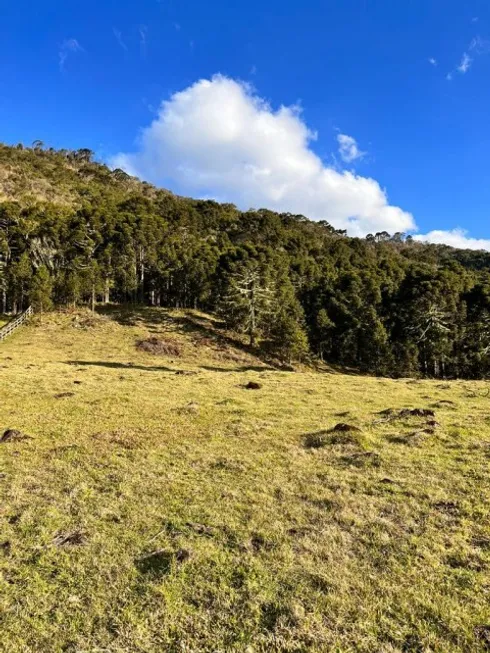 Foto 1 de Lote/Terreno à venda em Zona Rural, Urubici