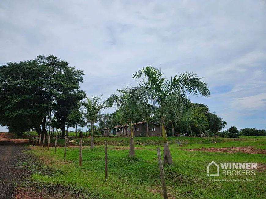 Foto 1 de Fazenda/Sítio com 2 Quartos à venda, 250m² em Zona Rural, Nova Esperança