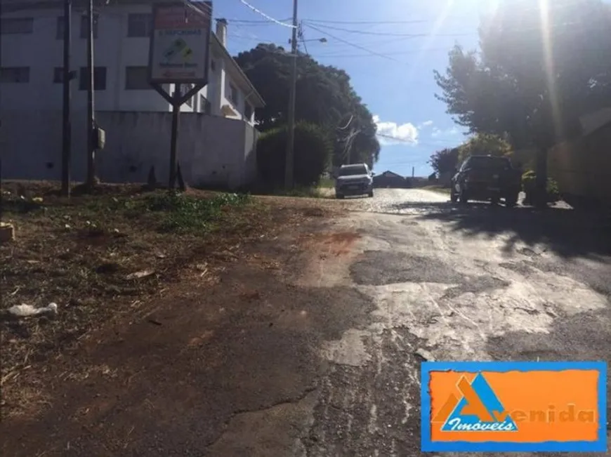 Foto 1 de Lote/Terreno à venda, 319m² em Estrela, Ponta Grossa