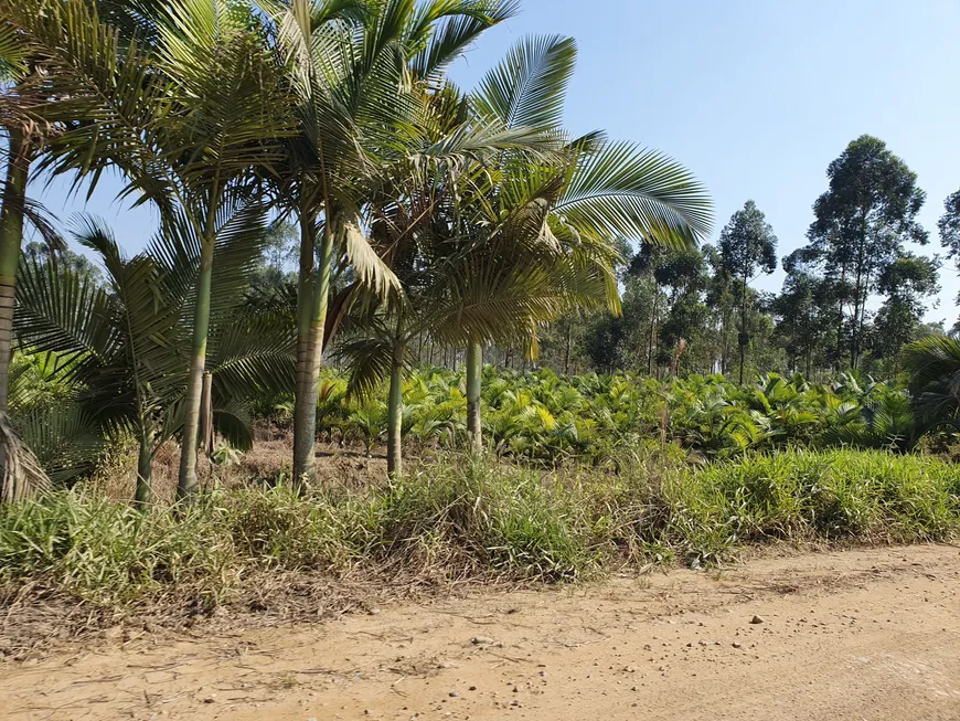 Foto 1 de Lote/Terreno à venda, 136m² em Volta Grande, Navegantes