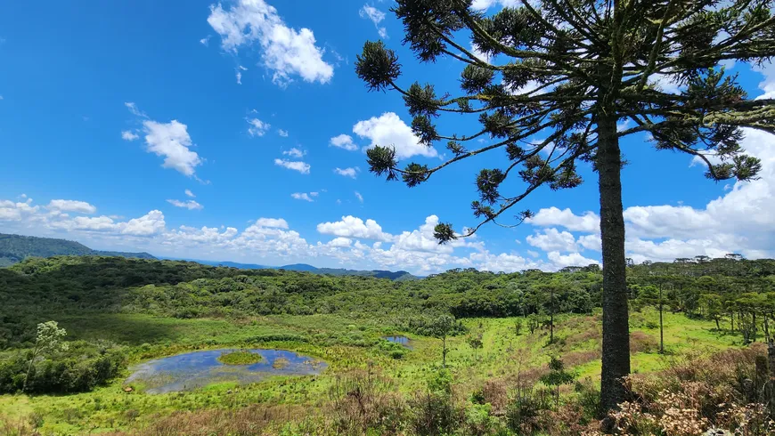 Foto 1 de Fazenda/Sítio à venda, 197000m² em Centro, Bocaina do Sul