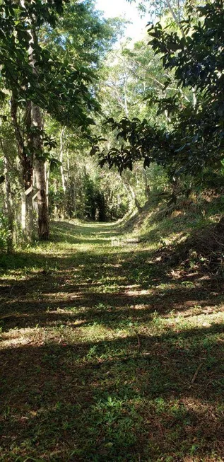 Foto 1 de Lote/Terreno à venda, 1610m² em Parque Dom João VI, Nova Friburgo