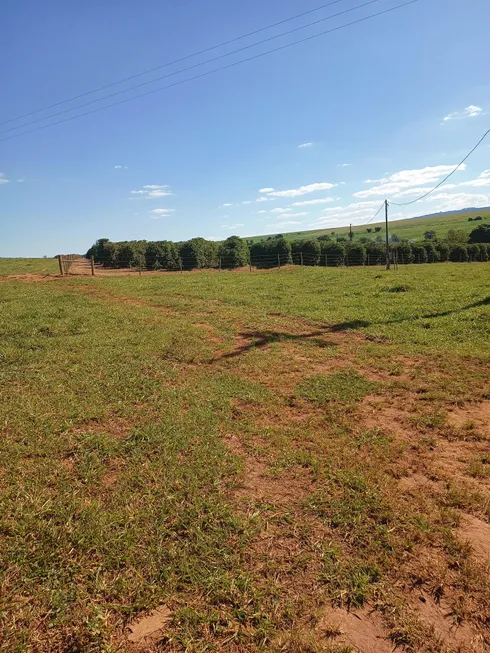 Foto 1 de Fazenda/Sítio com 4 Quartos à venda, 128260m² em Zona Rural, Monte Santo de Minas