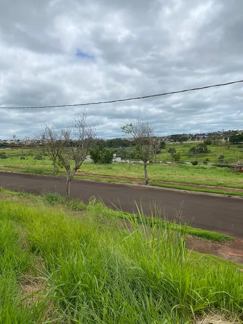 Foto 1 de Lote/Terreno com 1 Quarto à venda, 1m² em Jardim Taroba, Cambé