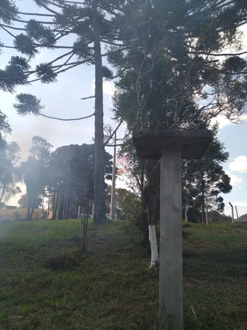 Foto 1 de Fazenda/Sítio à venda, 4840m² em Areia Branca dos Assis, Mandirituba