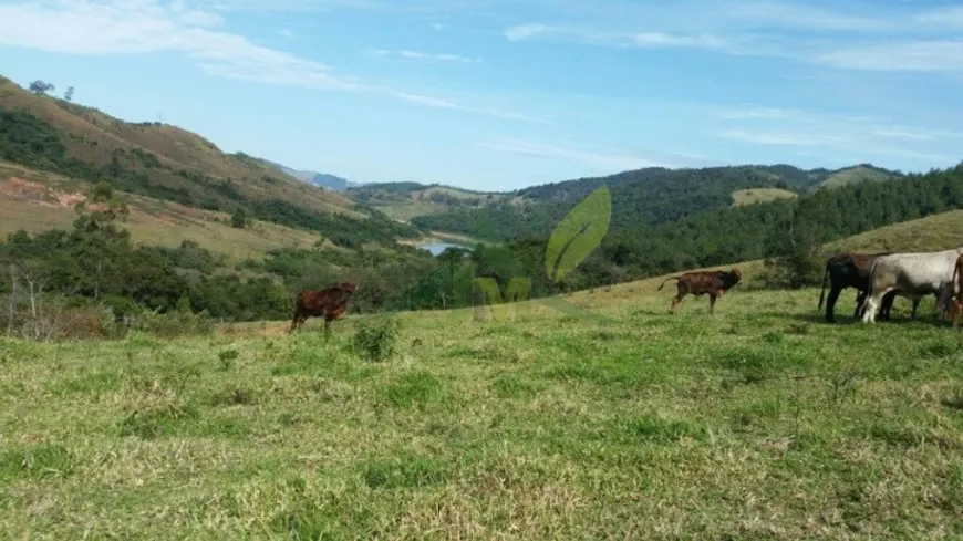 Foto 1 de Fazenda/Sítio com 4 Quartos à venda, 193600m² em Centro, Piracaia