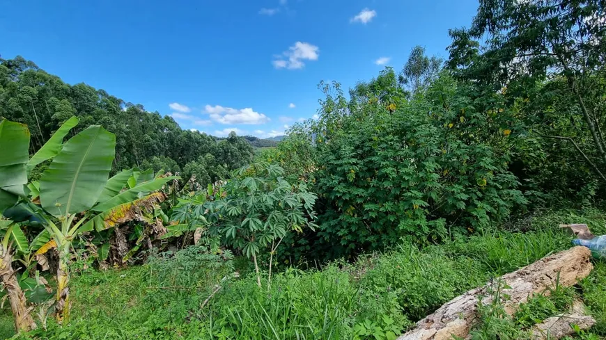 Foto 1 de Fazenda/Sítio à venda, 250000m² em , Domingos Martins