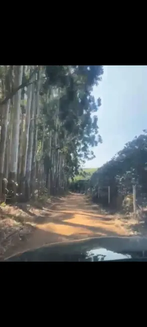 Foto 1 de Fazenda/Sítio com 2 Quartos à venda, 60m² em , Campanha