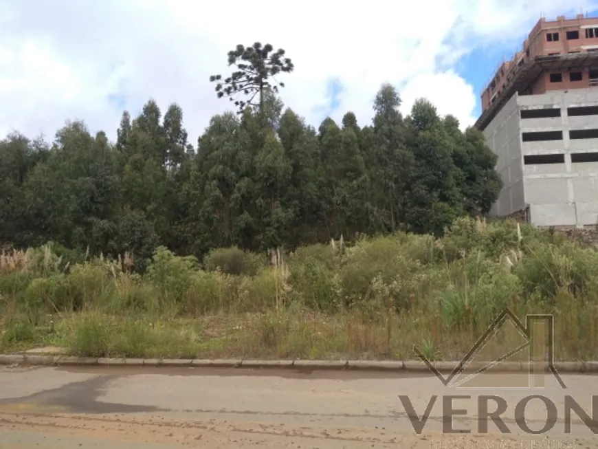 Foto 1 de Lote/Terreno à venda, 675m² em Sanvitto, Caxias do Sul