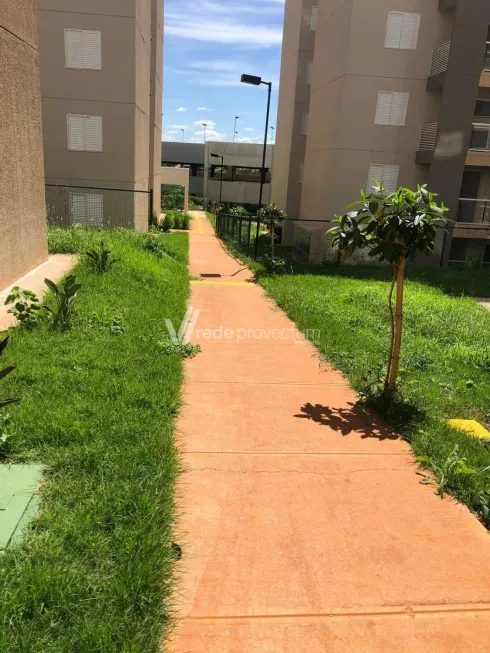 Foto 1 de Apartamento com 3 Quartos à venda, 80m² em Balneario Tropical, Paulínia