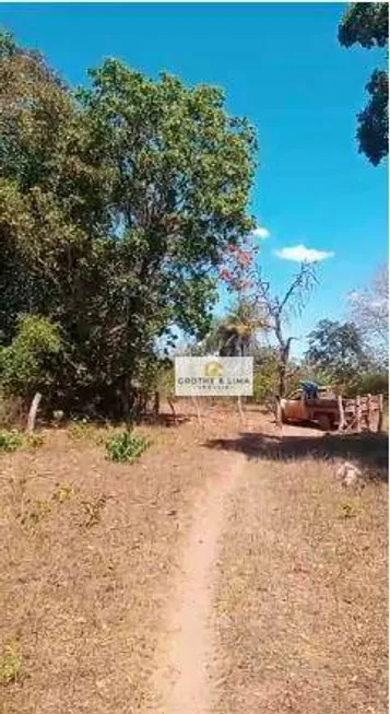 Foto 1 de Fazenda/Sítio com 8 Quartos à venda, 900m² em Setor Central, Araguaína