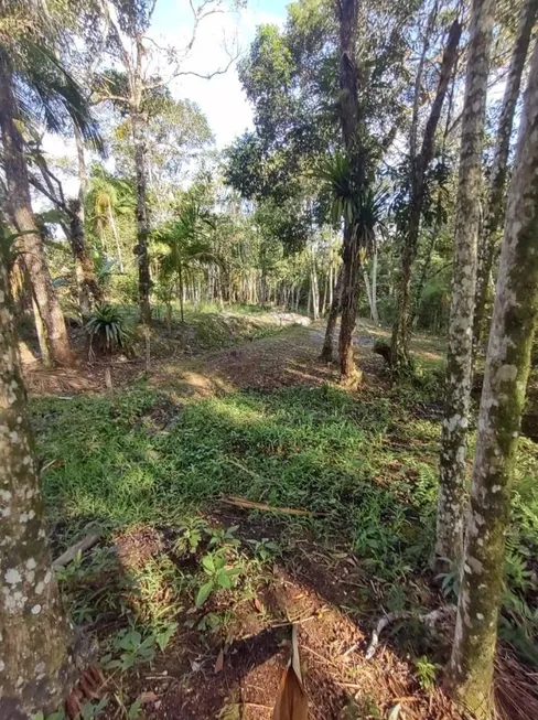 Foto 1 de Fazenda/Sítio com 3 Quartos à venda, 150m² em Jardim Coronel, Itanhaém